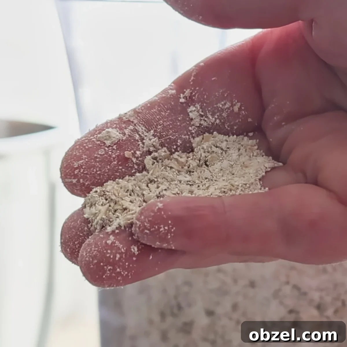 finely processed oatmeal in palm of hand.