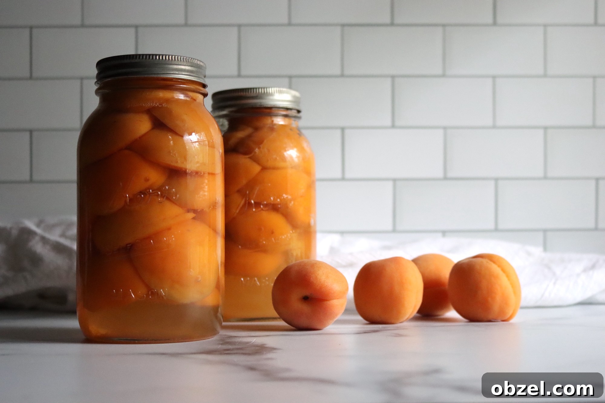 How to Can Apricots for Pantry Storage 51 Canning Apricots