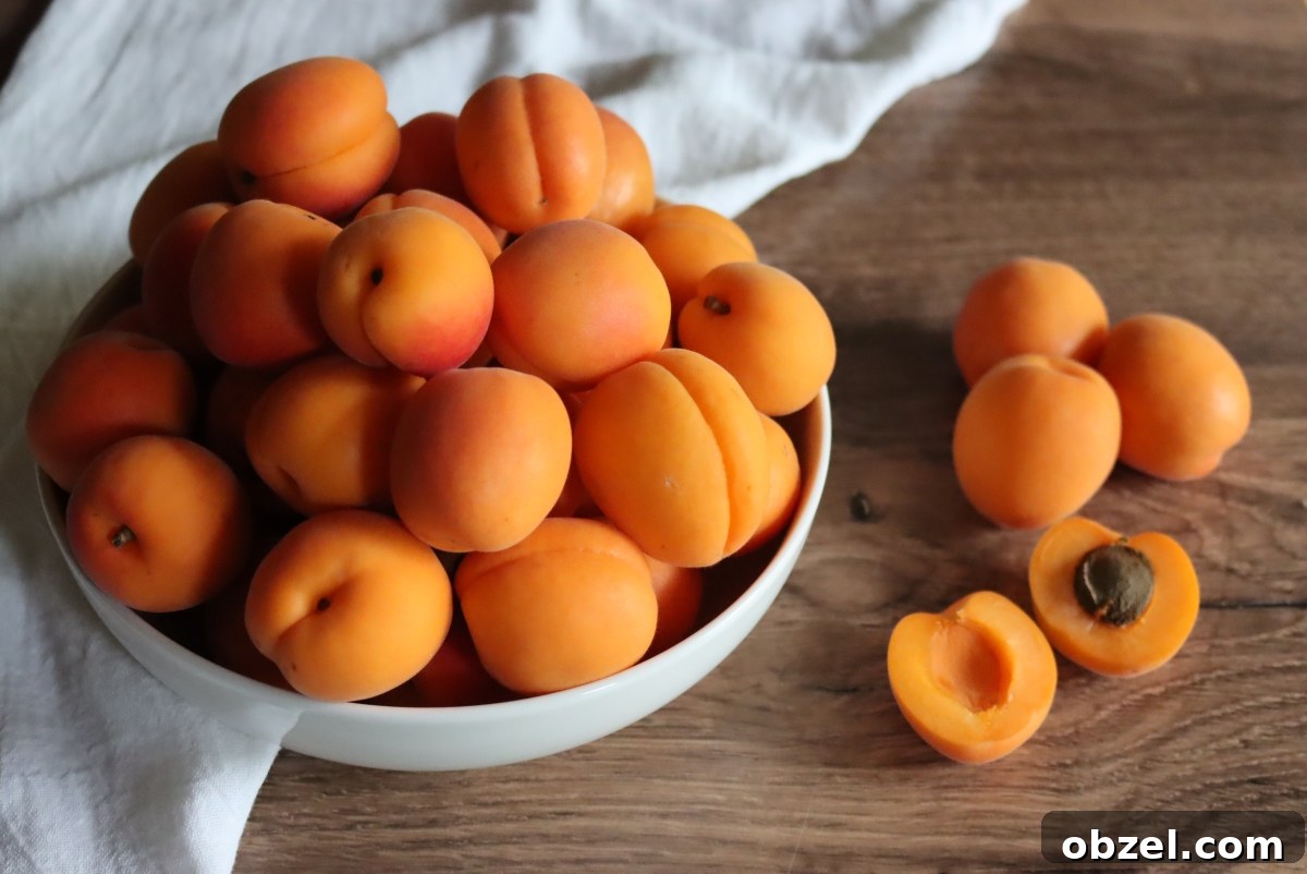 How to Can Apricots for Pantry Storage 4 Apricots for Jam