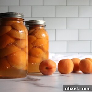 How to Can Apricots for Pantry Storage 8 Canning Apricots