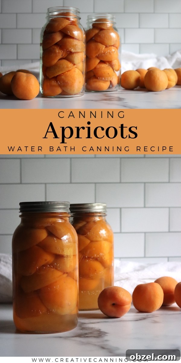 How to Can Apricots for Pantry Storage 9 Apricot Canning Recipe