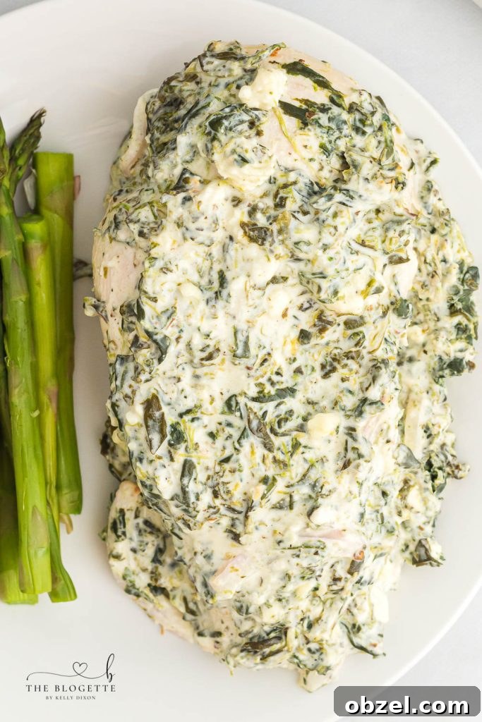 Creamy Spinach Dip Chicken Bake 2 Spinach Dip Chicken Bake - creamy spinach cheese sauce baked over juicy chicken breasts