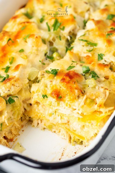 Creamy Spinach Dip Chicken Bake 10 Chicken and Broccoli Lasagna with creamy cheese sauce