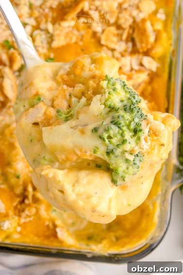 Creamy Spinach Dip Chicken Bake 12 Chicken Divan with broccoli and creamy sauce