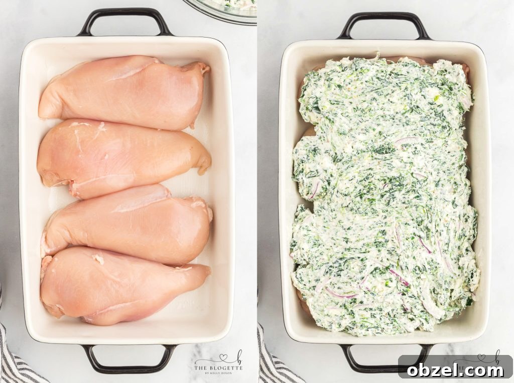 Creamy Spinach Dip Chicken Bake 3 Spinach Dip Chicken Bake baked with creamy spinach cheese sauce
