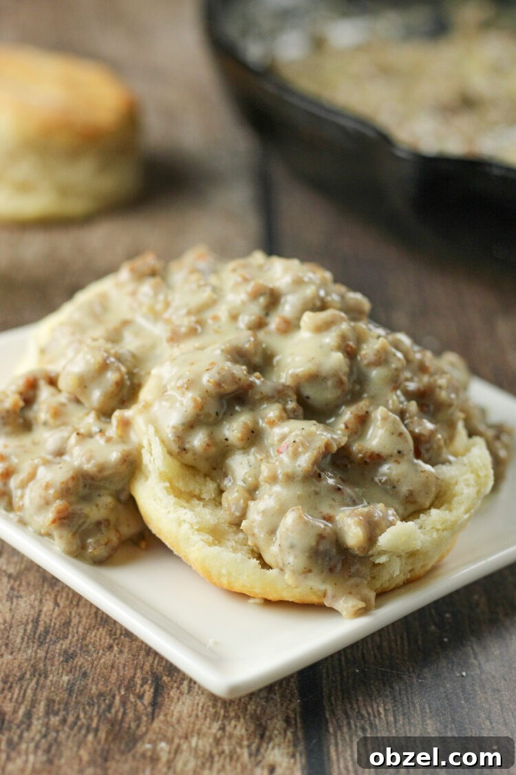Cast Iron Skillet Sausage Gravy Recipe 2 biscuits and gravy