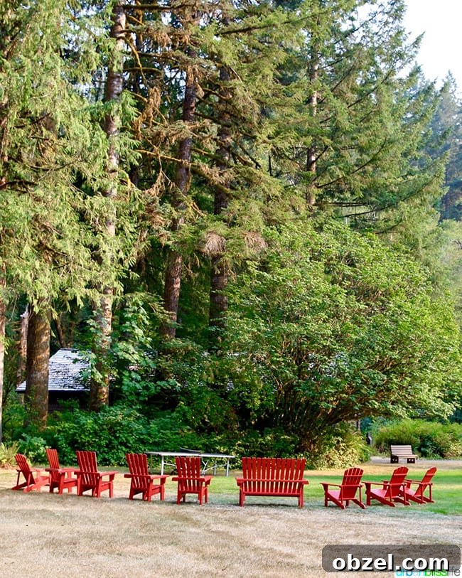 Silver Falls Lodge Cabin Camping in Oregon 3 silver falls lodge chairs