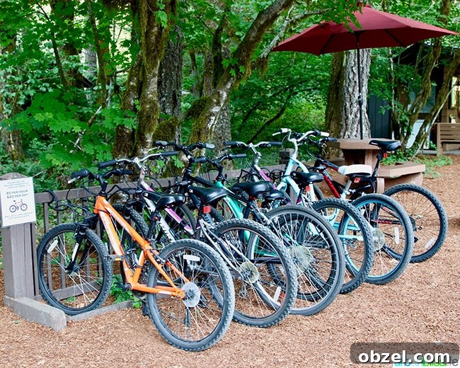 Silver Falls Lodge Cabin Camping in Oregon 4 silver falls lodge bikes