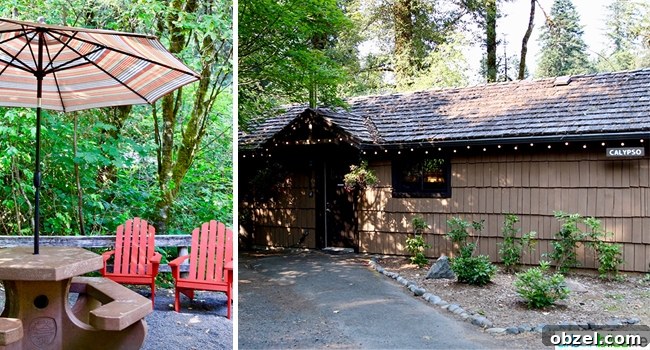 Silver Falls Lodge Cabin Camping in Oregon 5 Silver Falls Lodge large cabin