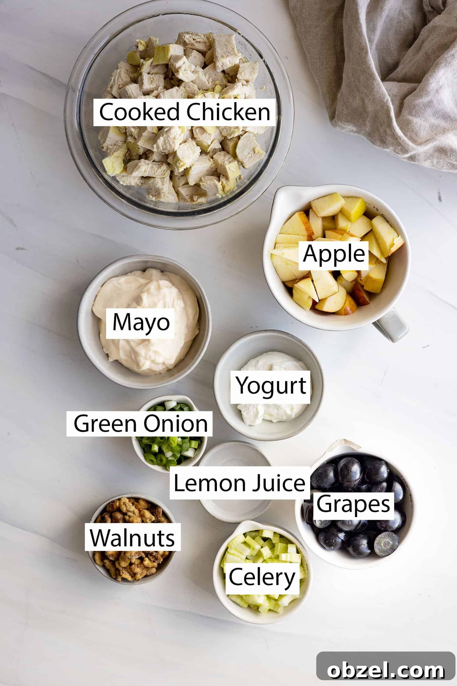 Chicken Waldorf Salad Recipe with Apples and Grapes 3 Ingredients: Cooked chicken, apples, grapes, celery, onion, mayo, yogurt, lemon juice, and walnuts.