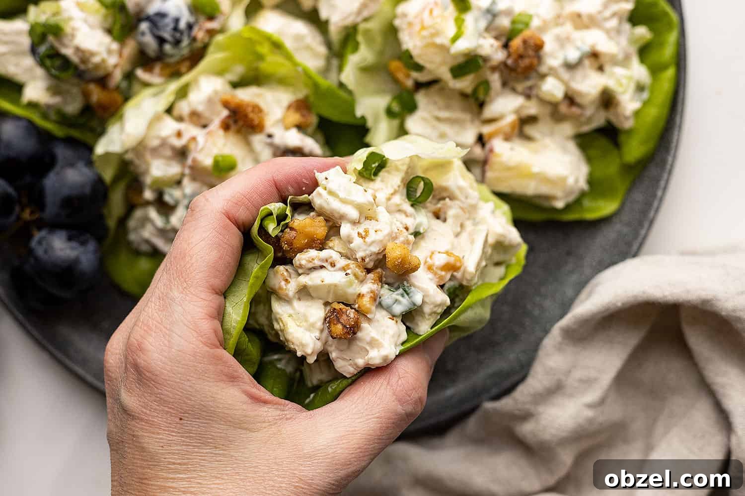 Chicken Waldorf Salad Recipe with Apples and Grapes 7 A hand picking up chicken waldorf salad wrapped in a lettuce leaf. Light colored napkin off to the side.