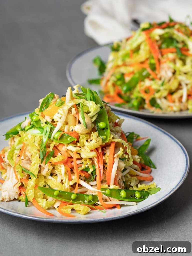 Chinese Chicken Salad with Sesame Ginger Dressing 2 healthy Chinese chicken salad on a blue plate