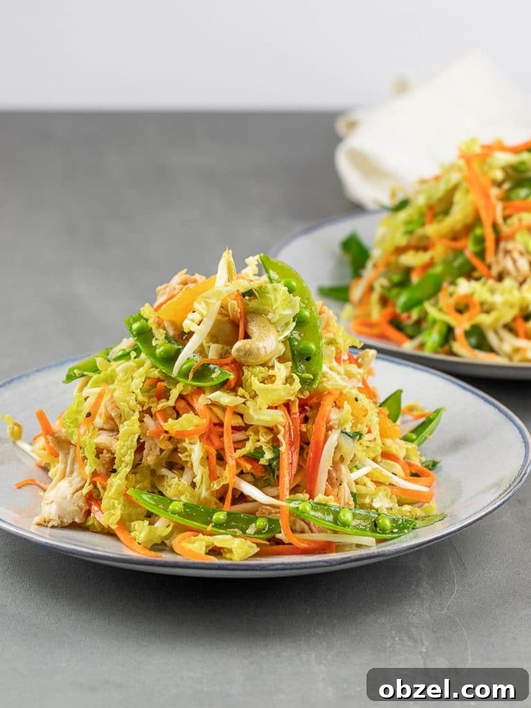 Chinese Chicken Salad with Sesame Ginger Dressing 11 healthy Chinese chicken salad on a blue plate