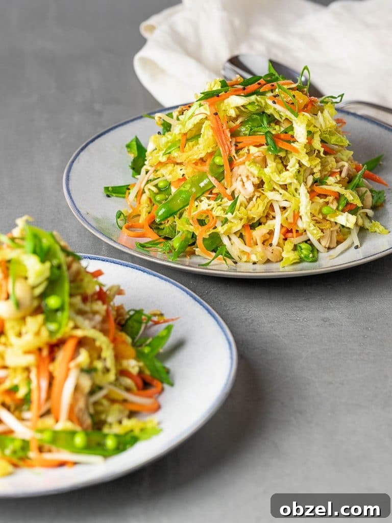 Chinese Chicken Salad with Sesame Ginger Dressing 5 healthy Chinese chicken salad on a blue plate