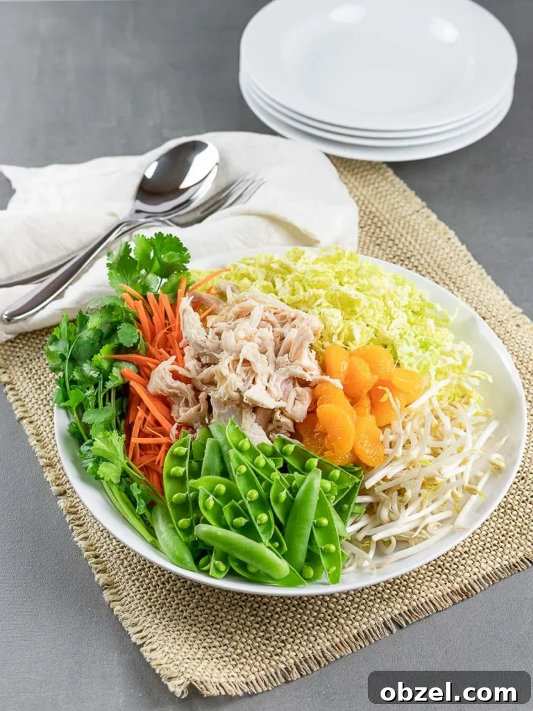 Chinese Chicken Salad with Sesame Ginger Dressing 6 healthy Chinese chicken salad in a white plate