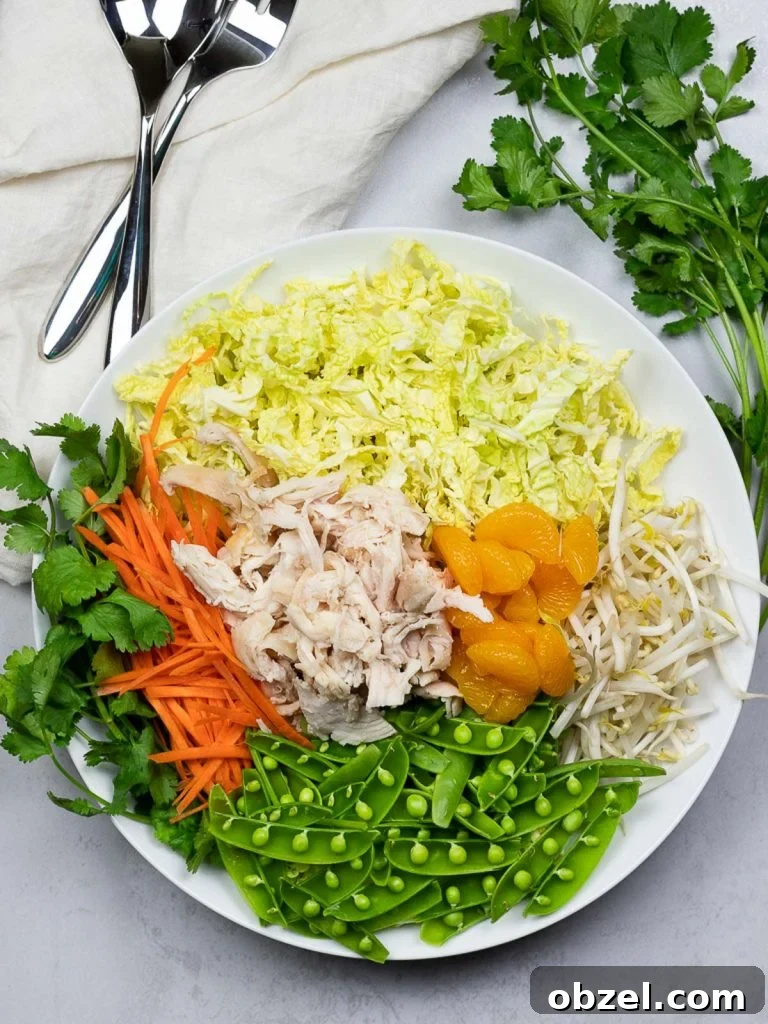 Chinese Chicken Salad with Sesame Ginger Dressing 7 healthy Chinese chicken salad in a white plate with cilantro and silverware