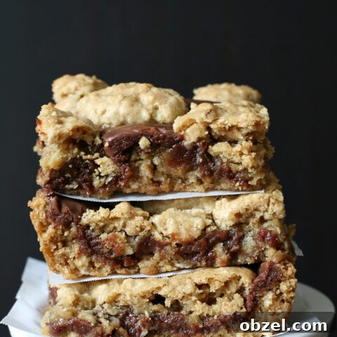Gluten-free Revel Bars - Peanut Butter Oatmeal Fudge Bars