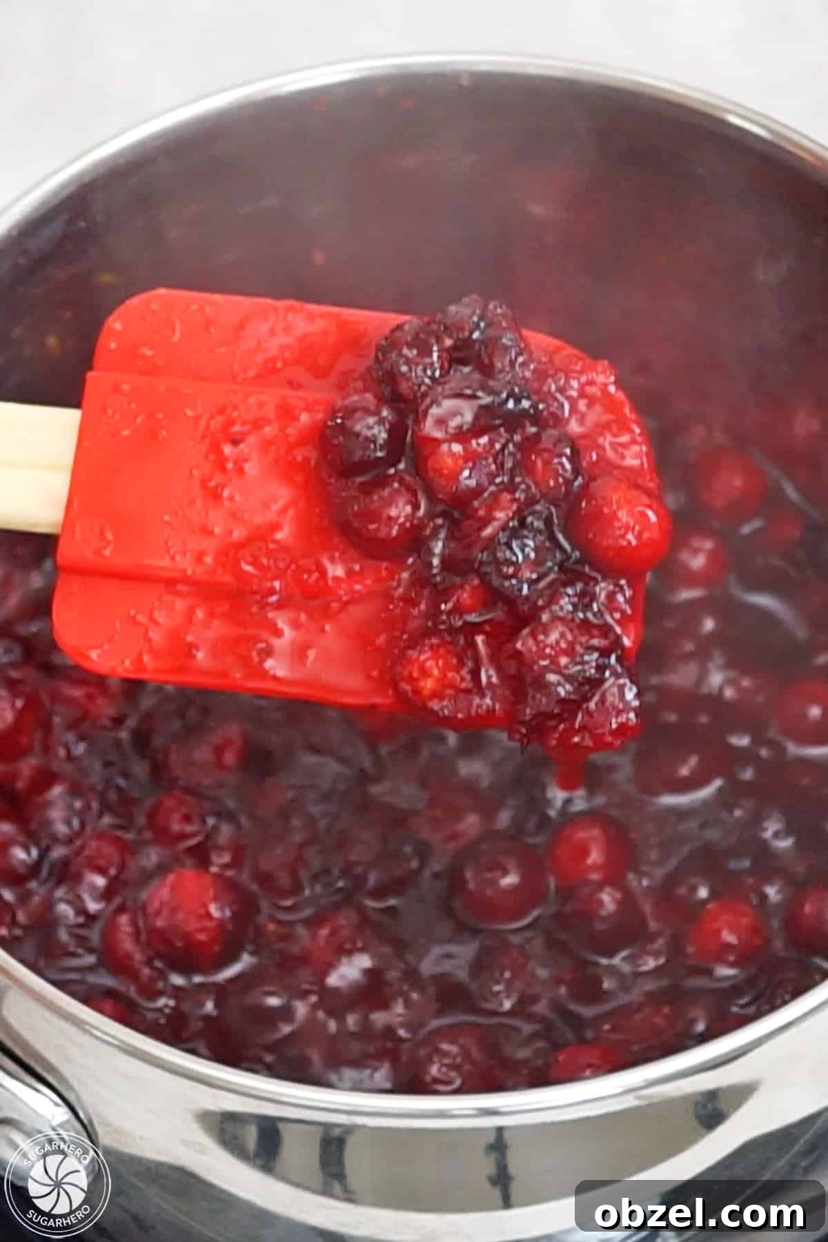 Cranberry Orange Sauce Recipe 12 Spatula holding up thickened cranberry sauce.