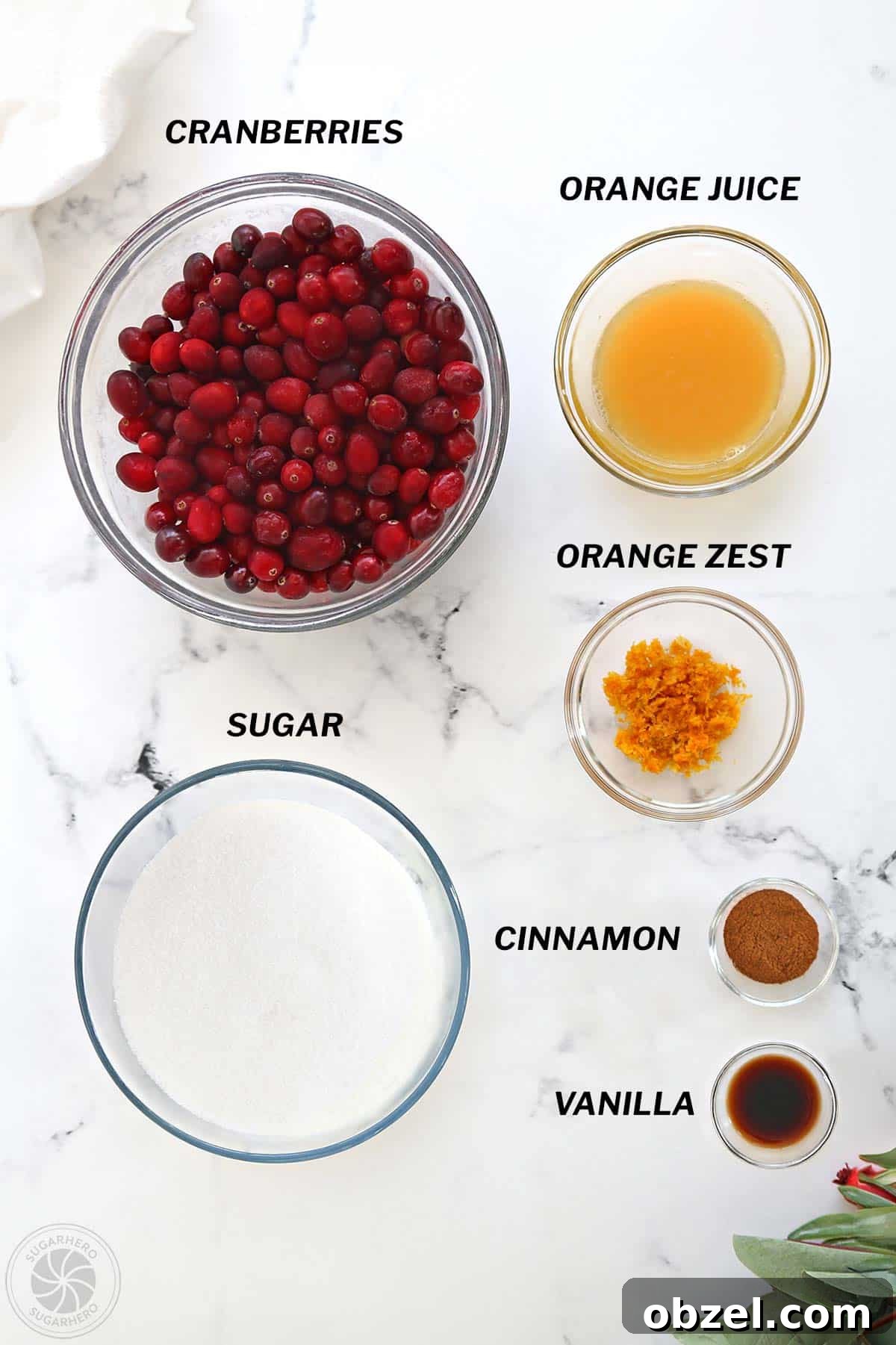 Cranberry Orange Sauce Recipe 3 Overhead shot of ingredients for homemade cranberry sauce.