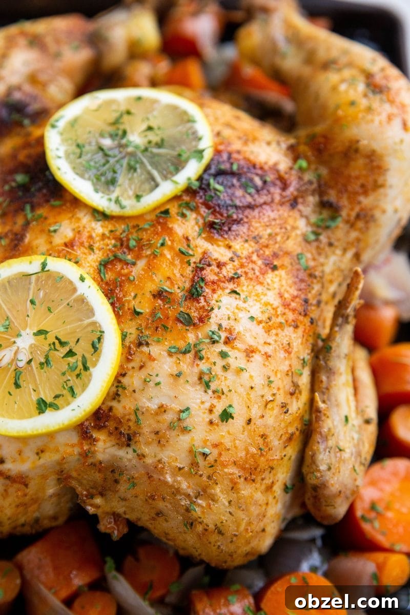 31 Fall Chicken Recipes for Cozy Weeknight Dinners 19 crockpot whole chicken