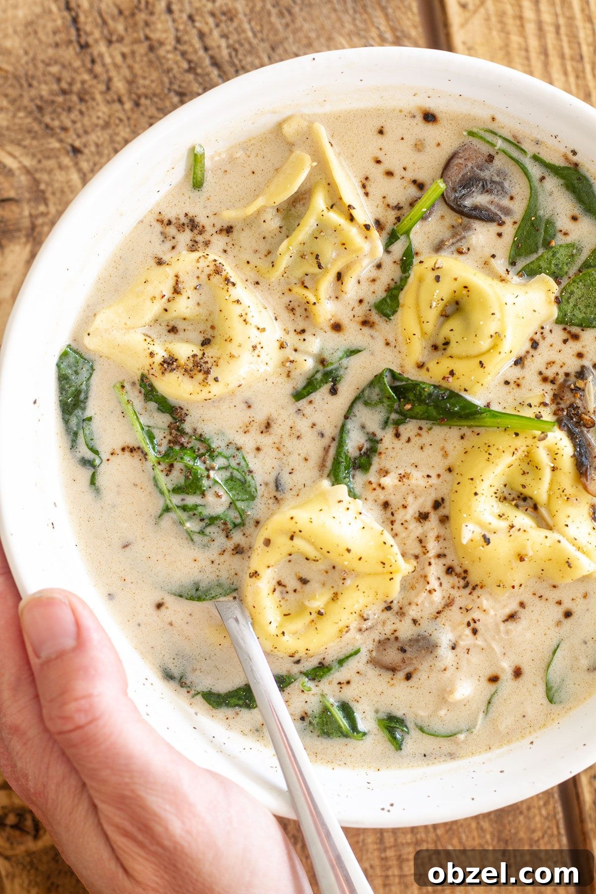 31 Fall Chicken Recipes for Cozy Weeknight Dinners 22 chicken alfredo tortellini soup