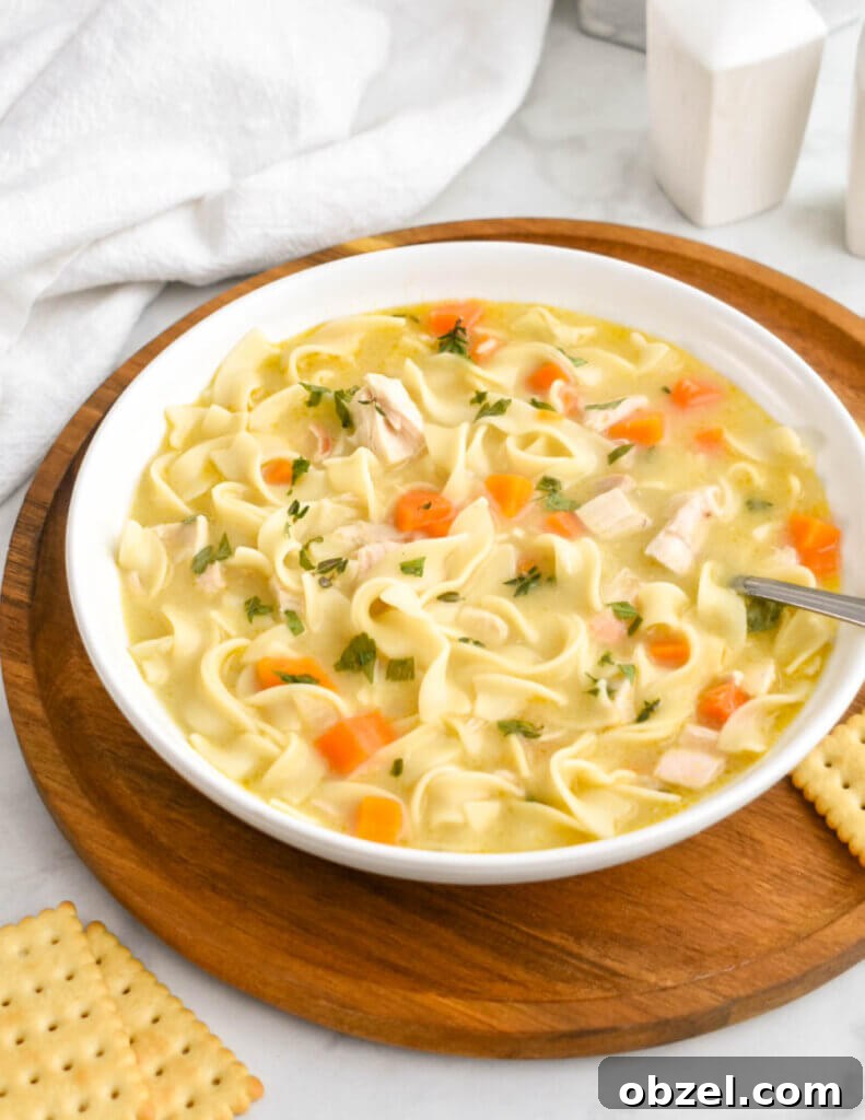 31 Fall Chicken Recipes for Cozy Weeknight Dinners 23 chicken noodle soup