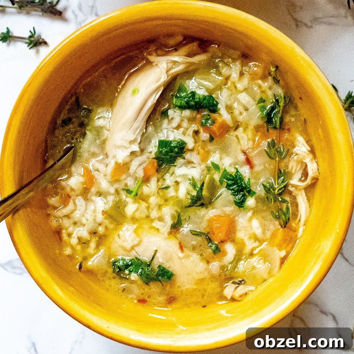 31 Fall Chicken Recipes for Cozy Weeknight Dinners 26 Instant pot chicken and rice soup