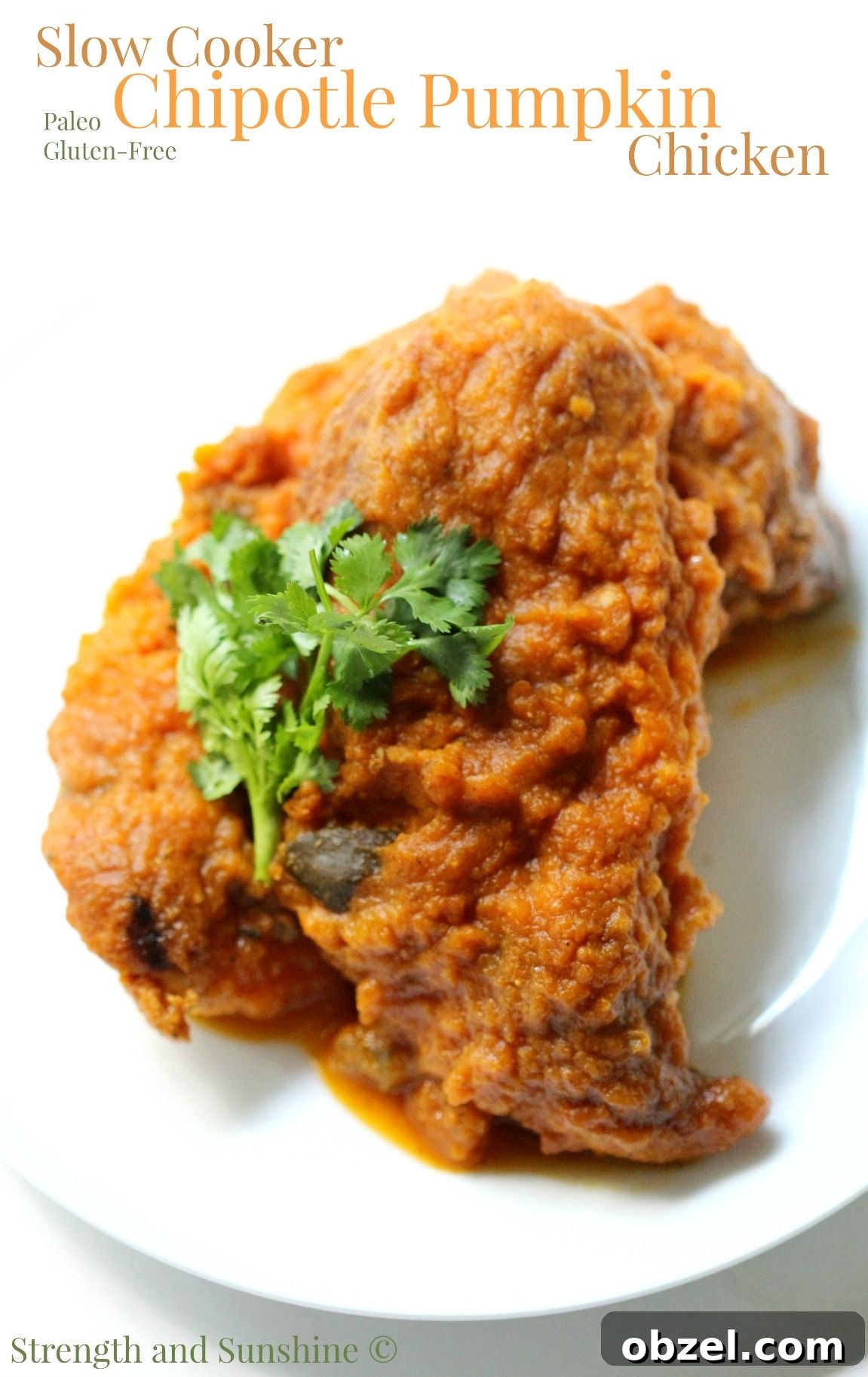 31 Fall Chicken Recipes for Cozy Weeknight Dinners 6 chipotle pumpkin chicken