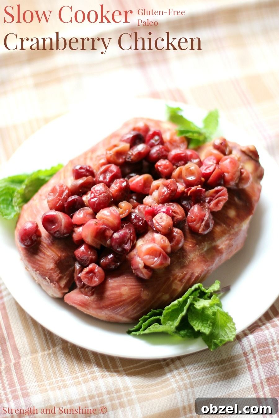 31 Fall Chicken Recipes for Cozy Weeknight Dinners 8 cranberry chicken