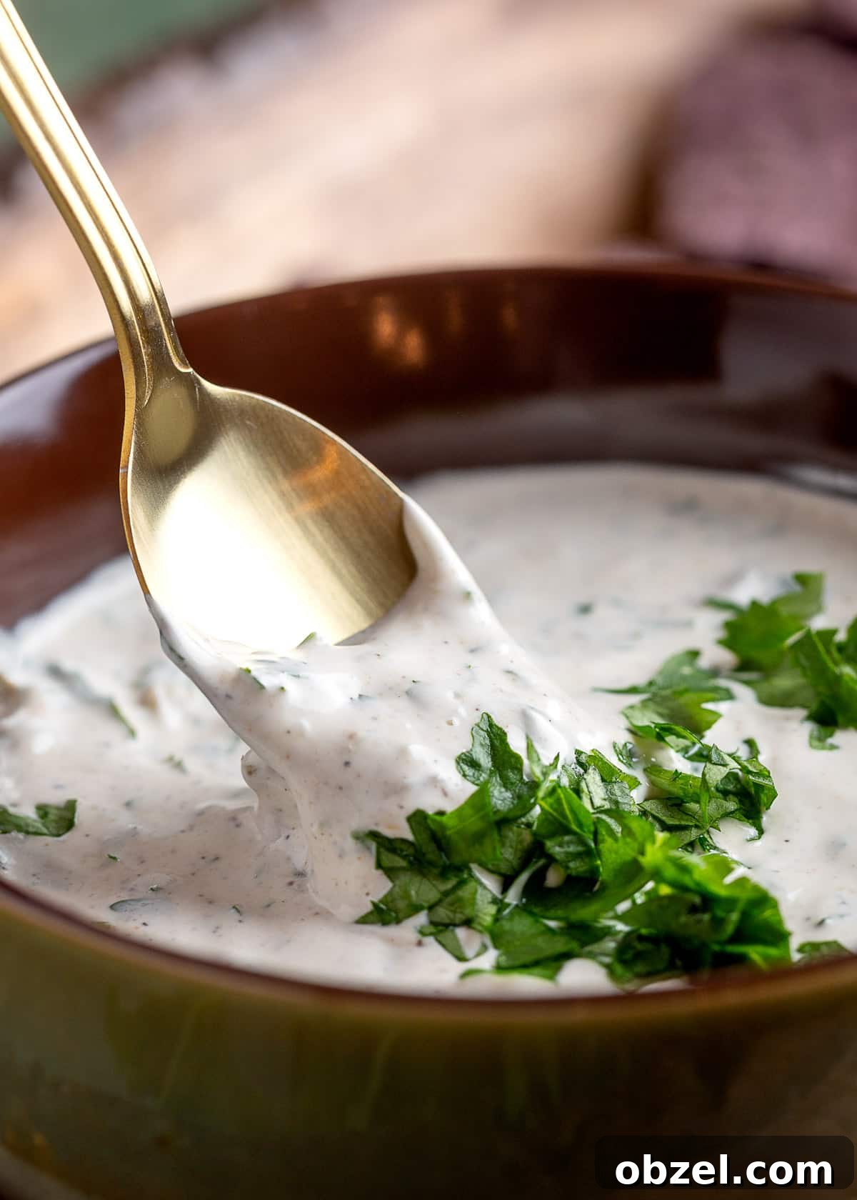 Creamy Green Chile Cilantro Dip 6 green chile cilantro dip in a brown bowl being scooped with a gold spoon