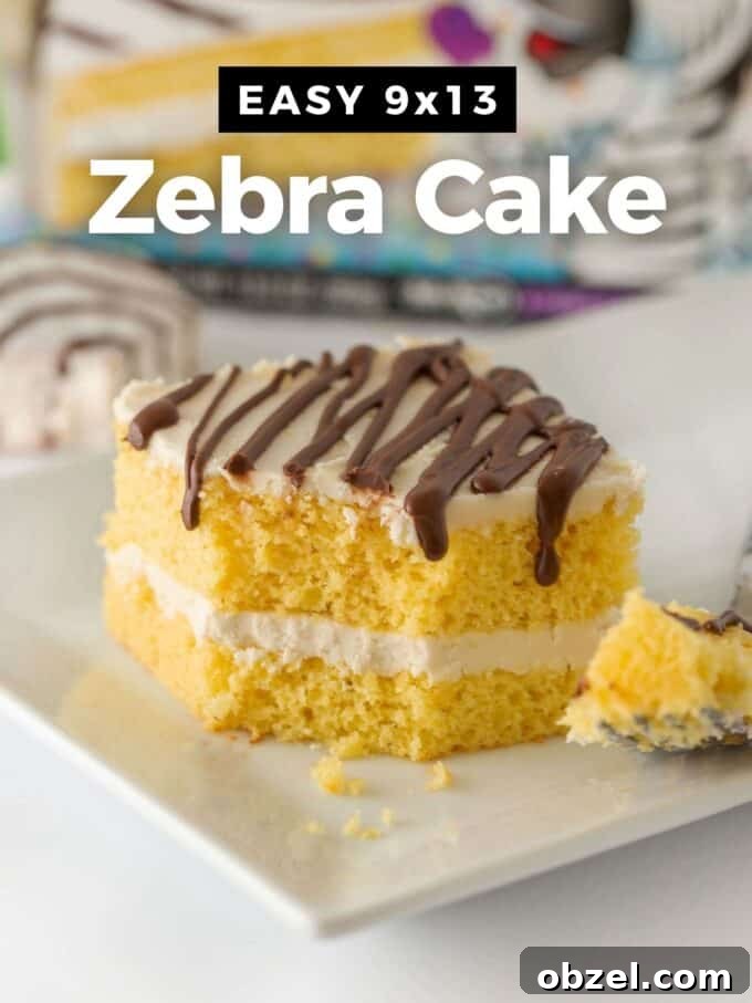 9x13-Inch Zebra Cake Recipe 2 Easy 9x13 Zebra Cake