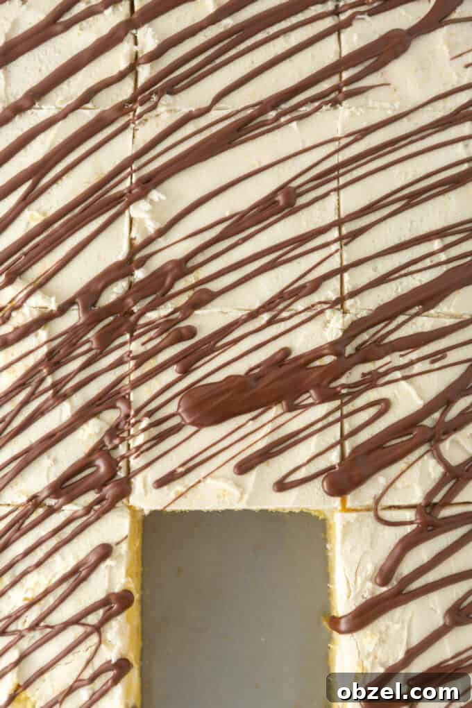 9x13-Inch Zebra Cake Recipe 3 Overhead view of sliced squares of homemade zebra cake, with one square removed