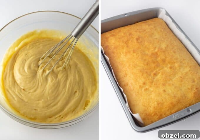9x13-Inch Zebra Cake Recipe 5 Side by side photos of zebra cake batter and the baked cake before frosting