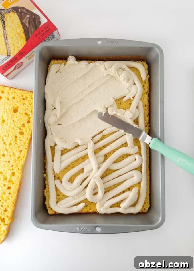 9x13-Inch Zebra Cake Recipe 7 Overhead view of frosting being spread onto bottom half of zebra cake