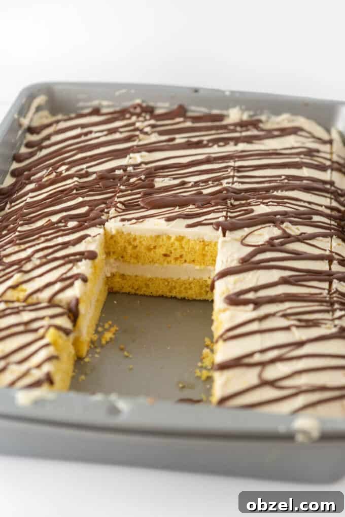 9x13-Inch Zebra Cake Recipe 8 Homemade 9x13 zebra cake in pan with two slices removed to show layered interior
