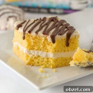 9x13-Inch Zebra Cake Recipe 10 img 31621 9