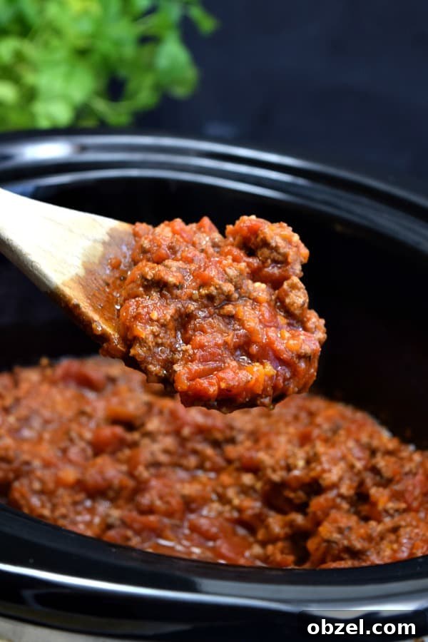 Top New Recipes on The Schmidty Wife in 2018 5 a large spoon full of bolognese sauce over top a crockpot
