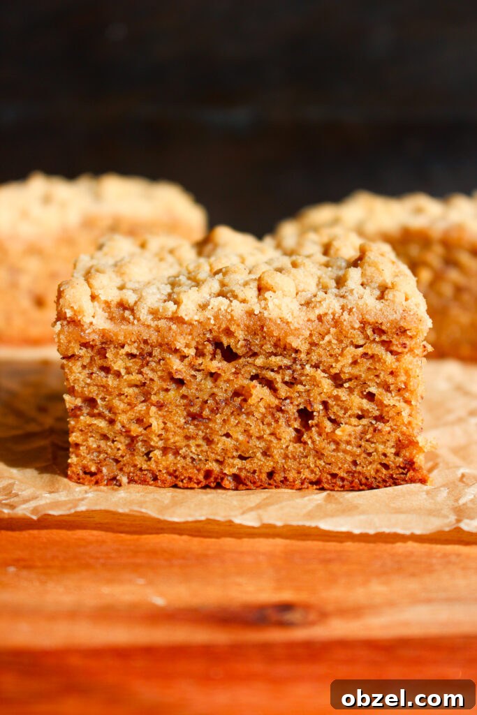 Banana Crumb Cake with Cinnamon Streusel Topping 13 Baked banana crumb cake