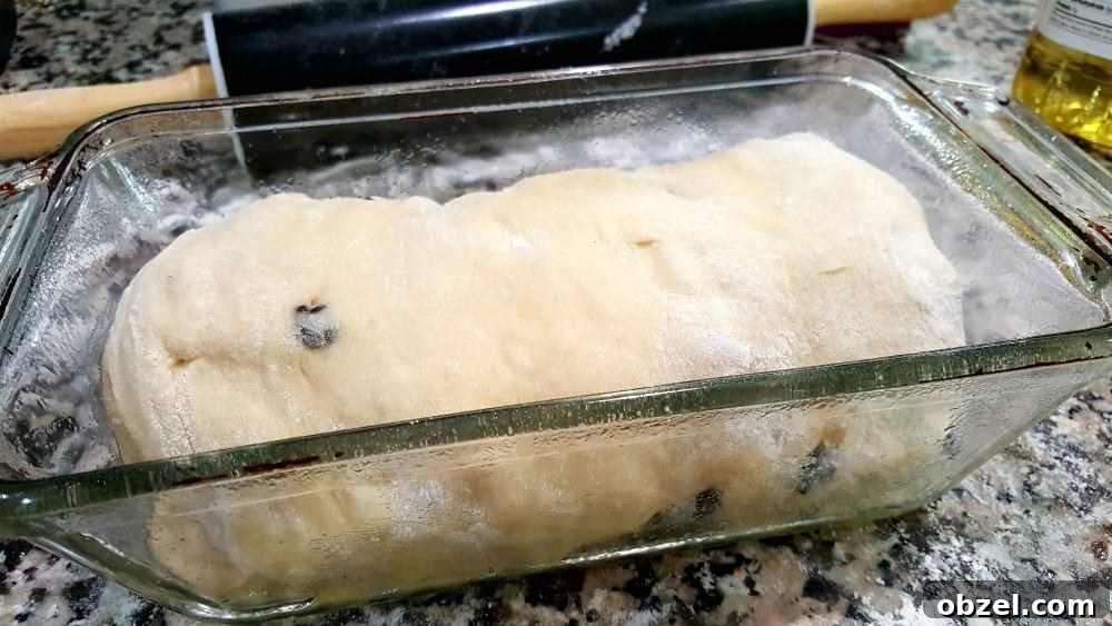 Cinnamon Raisin Swirl Bread Recipe 7 Cinnamon raisin bread dough rolled into a loaf inside a loaf pan.