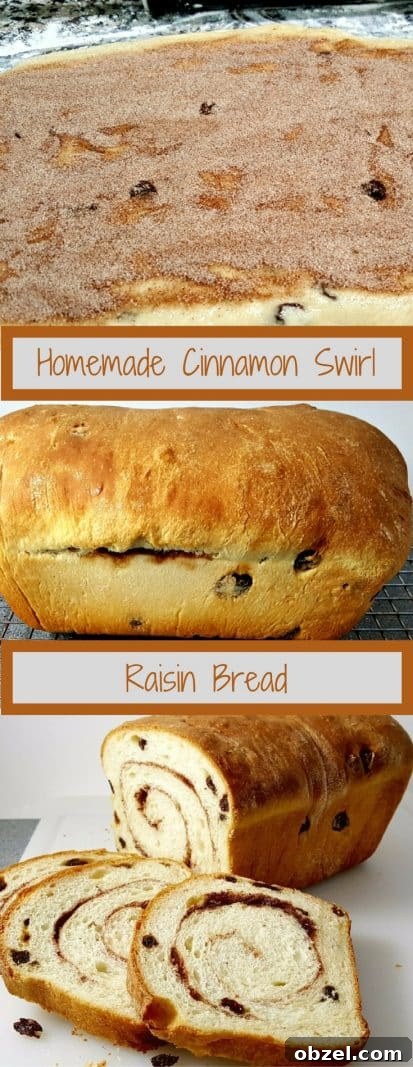 Cinnamon Raisin Swirl Bread Recipe 14 Swirled cinnamon raisin bread graphic with three different images of making the bread.
