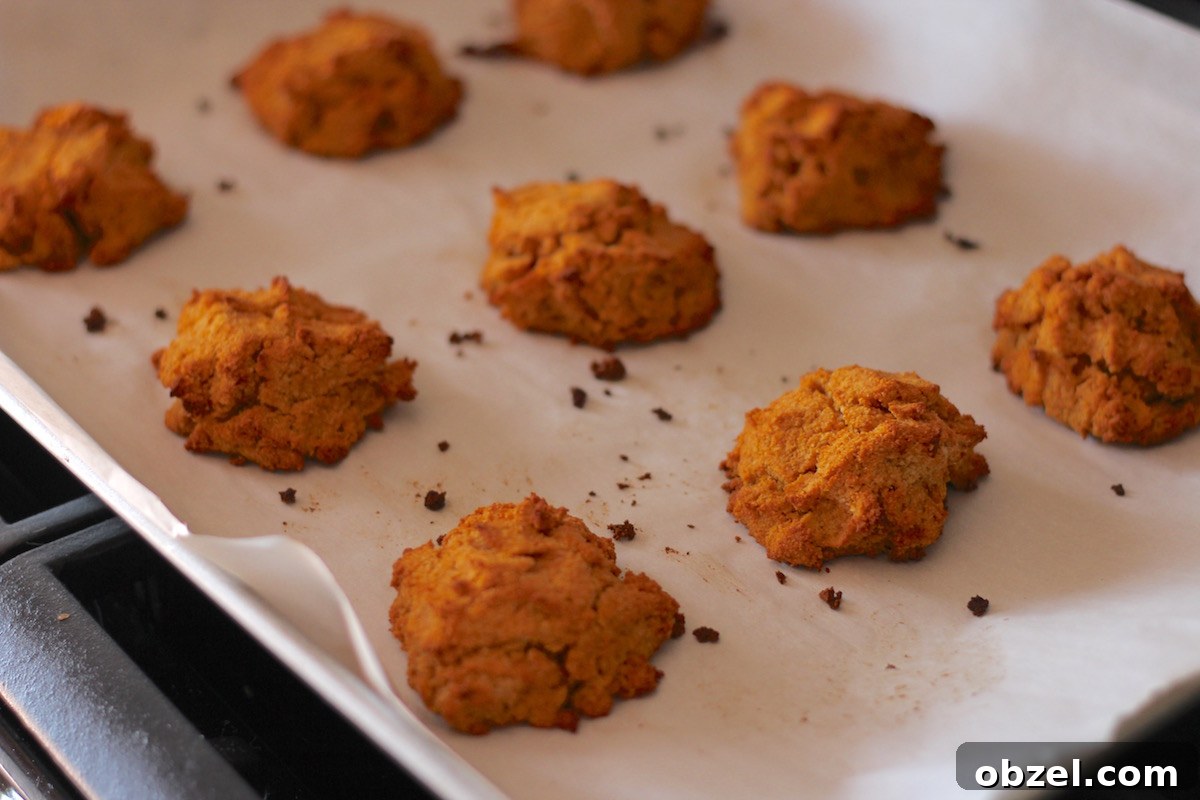 Easy Paleo Drop Biscuits (AIP) - whip up these tender cake-like biscuits in mere minutes! So good, I bet you can't eat just one! | fedandfulfilled.com