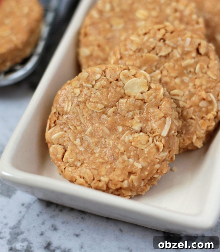 No Bake Peanut Butter Oatmeal Cookies Vegan and Gluten Free 6 Close up on a Peanut Butter Cookie