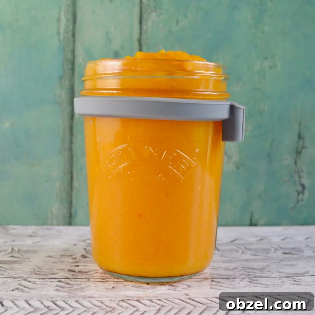 10 Gluten-Free, Dairy-Free Pumpkin Recipes 2 pumpkin puree