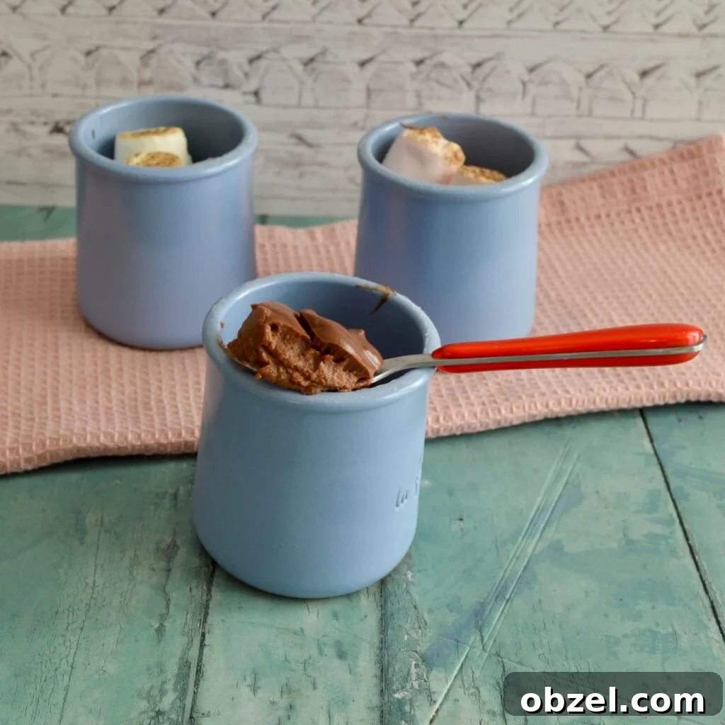 10 Gluten-Free, Dairy-Free Pumpkin Recipes 11 pumpkin chocolate pudding
