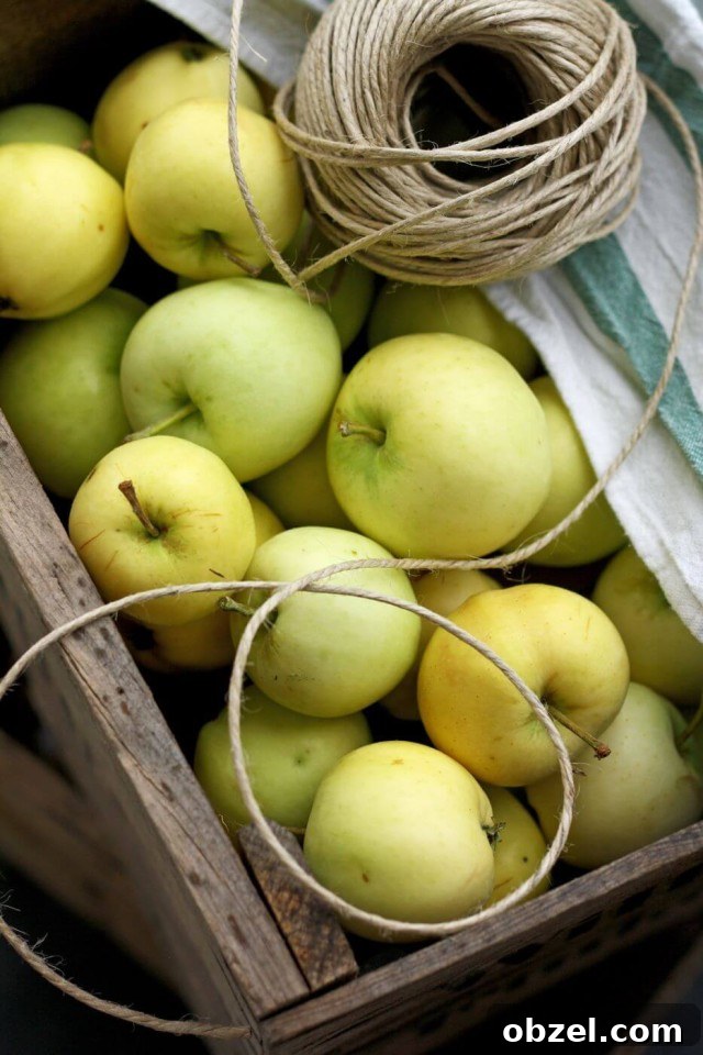 Sharlotka: Authentic Russian Apple Cake Recipe 3 Sharlotka - Russian Apple Pie - Apples Ingredient Closeup