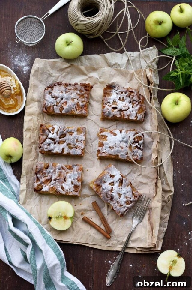 Sharlotka: Authentic Russian Apple Cake Recipe 4 Sharlotka - Russian Apple Pie Beautiful Overhead Shot on the Composition