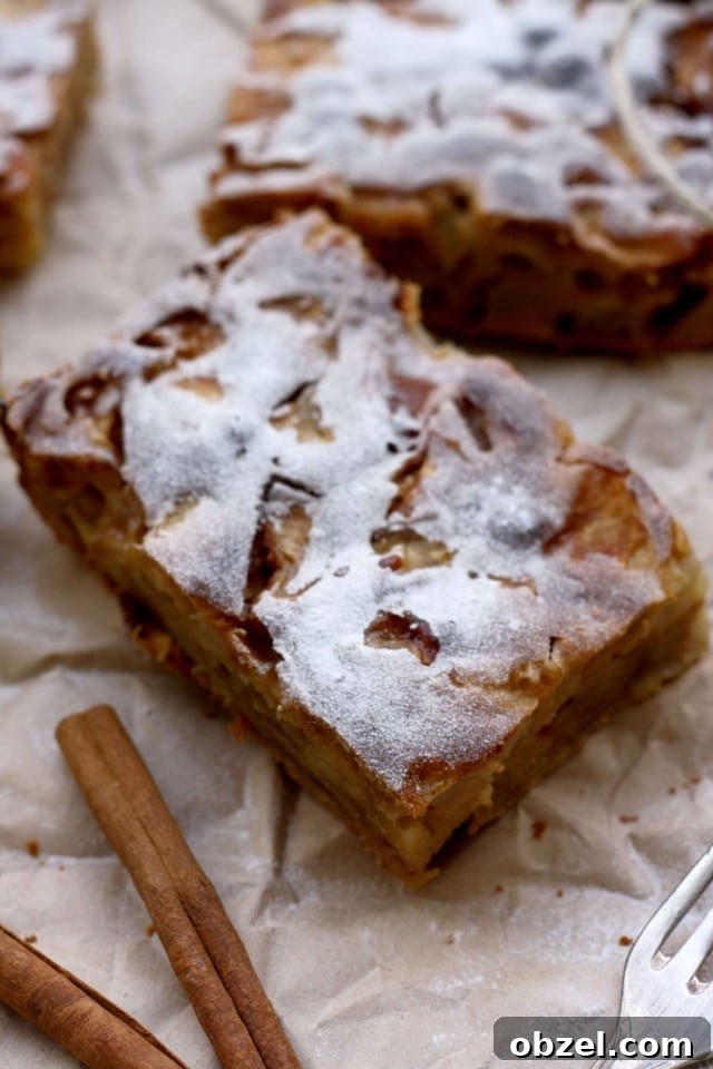 Sharlotka: Authentic Russian Apple Cake Recipe 6 Sharlotka - Russian Apple Pie Closeup with Two Cinnamon Sticks in the Bottom
