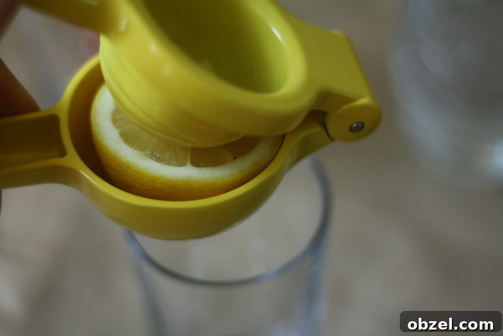 lemon Fresh lemon for sparkling black tea lemonade