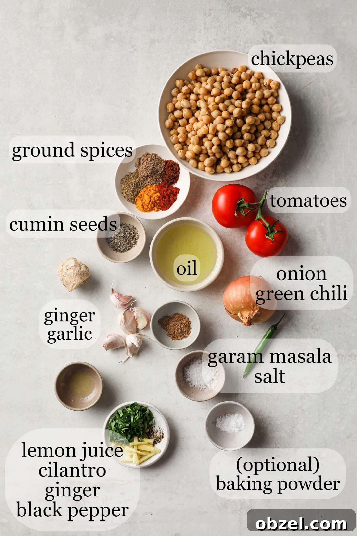 Chickpeas, tomatoes, spices, oil, onions, garlic, ginger, among other Chana Masala ingredients on a gray surface