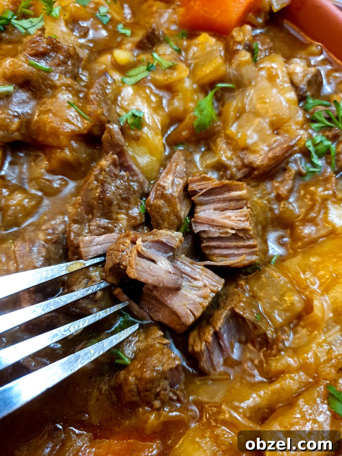 South African Beef Bredie Stew Recipe 13 Close up of beef bredie showing a piece of succulent beef being shredded with a fork.